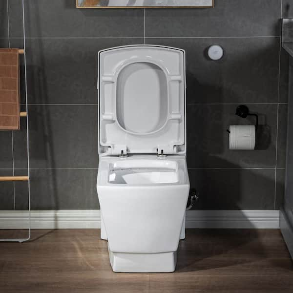 Project Upc One Piece Siphon Flush Toilet Sanitary Wares Bathroom