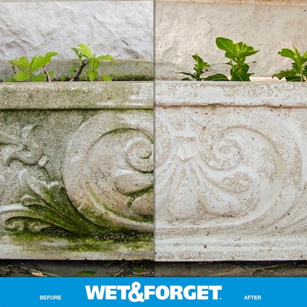 64 oz. Outdoor Ready-to-Use Moss Mold Mildew and Algae Stain Remover