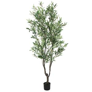 6.5 ft. Artificial Olive Tree in Pot