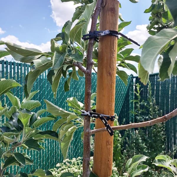 Tosulte 1 in. x 100 ft. Black Reusable Plastic Plant Tree Support