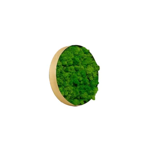 Afoxsos Delicate Iron Metal Frame Green Round Framed Moss Wall Decor Metal Work Fusion of Nature and Art, Only The Small Piece