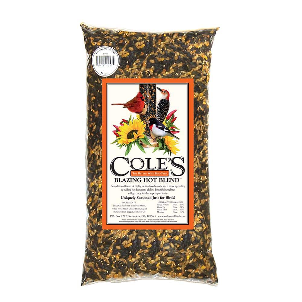 10 lbs. Blazing Hot Blend Assorted Species Black Oil Sunflower Wild Bird Se