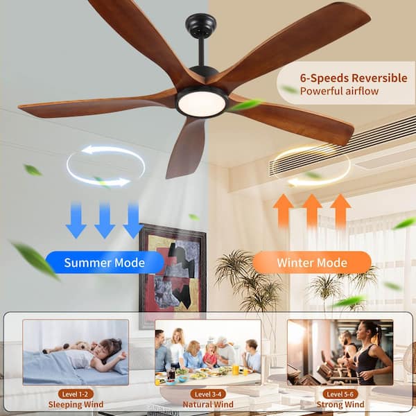 60 in. Indoor Black Wood Downrod Mount Standard LED Ceiling Fan with Wall and Remote Control