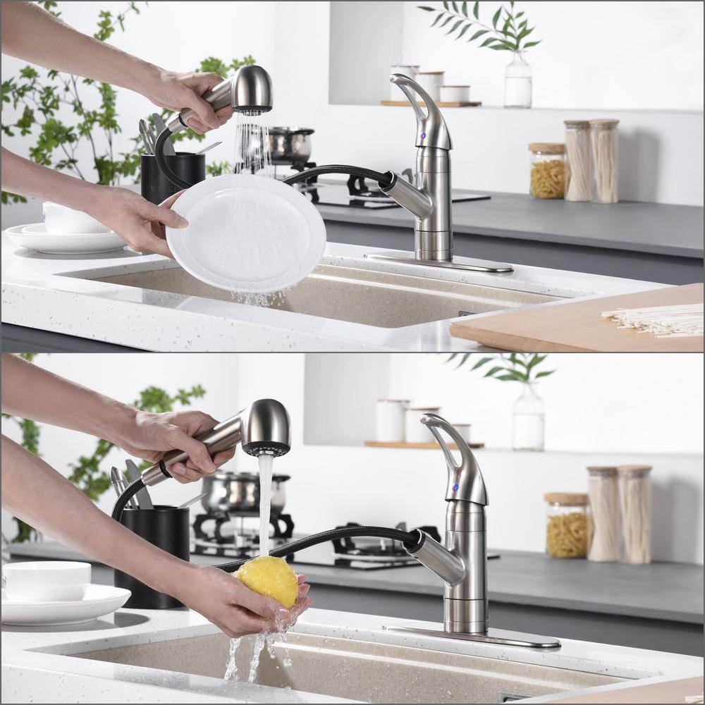 Stainless Steel Single Handle Pull-Out Kitchen Faucet