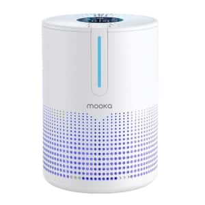 300 sq. ft. Quiet H13 HEPA True Personal Tabletop Air Purifier in White, Ozone-Free, Available To Add Essential Oil