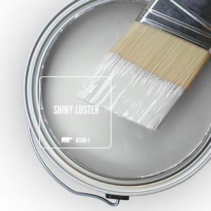 N500-1 Shiny Luster Paint