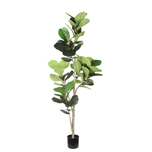 Fleming Indoor 6 ft. Artificial Fiddle Leaf Fig Tree with Black Plastic Pot