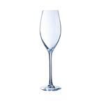 Chef & Sommelier Grand Vin 8 Ounce Champagne Flute, Set of 6 - Bed Bath &  Beyond - 26564685
