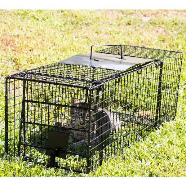 32 in. Folding Live Animal Cage Trap 914048 - The Home Depot