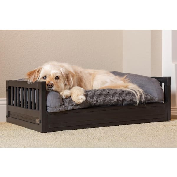 are raised dog beds better