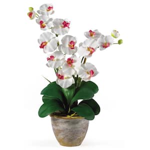 25 in. Artificial Double Phalaenopsis Silk Orchid Flower Arrangement in White
