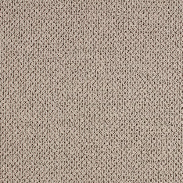 8 in. x 8 in. Pattern Carpet Sample - Beyond Cozy -Color Soft