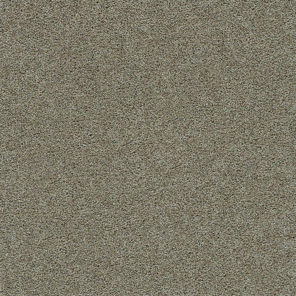 8 in. x 8 in. Texture Carpet Sample-Dewdrop I-Color Dreamy price history on PriceWatchPro