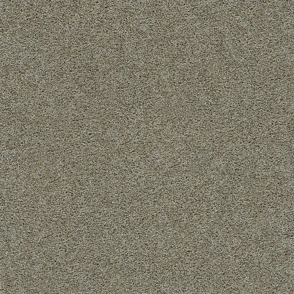 8 in. x 8 in. Texture Carpet Sample-Dewdrop II-Color Dreamy