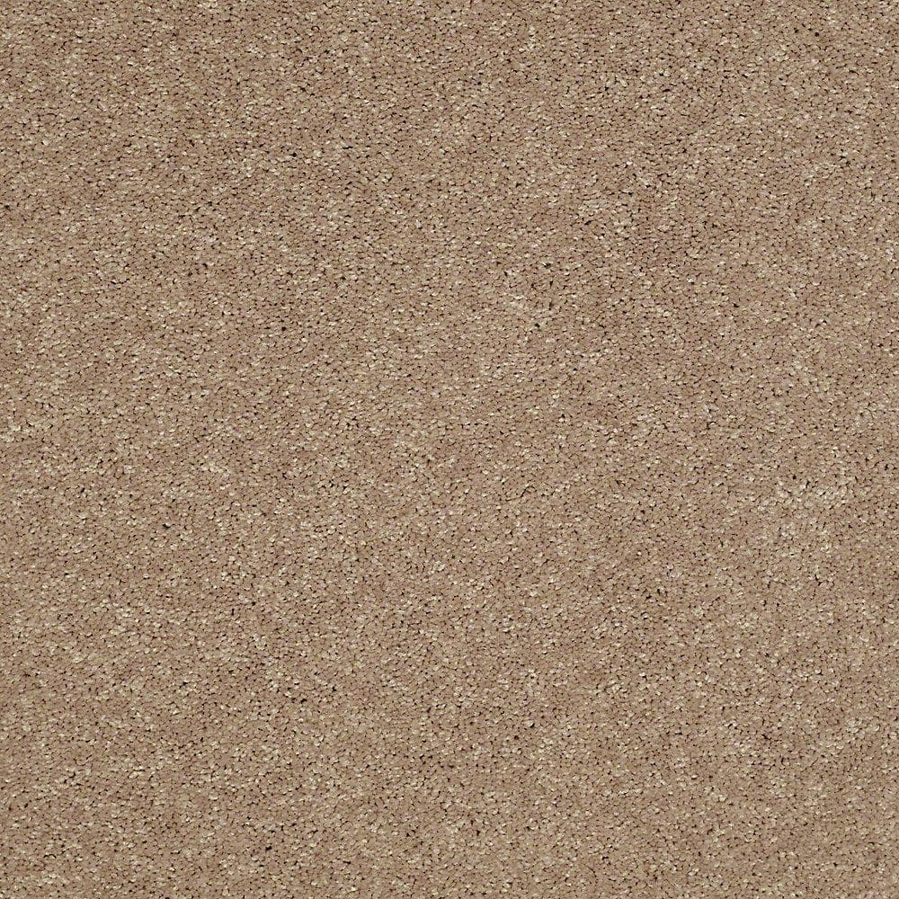 8 in. x 8 in. Texture Carpet Sample - Brave Soul II - Color Garbanzo price history on PriceWatchPro