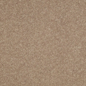 8 in. x 8 in. Texture Carpet Sample - Brave Soul II - Color Garbanzo