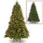 6.5 ft. Downswept Douglas Fir Tree with Dual Color LED Lights