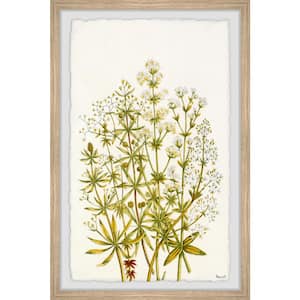 "The Flowering Plant" by Marmont Hill Framed Nature Art Print 45 in. x 30 in.