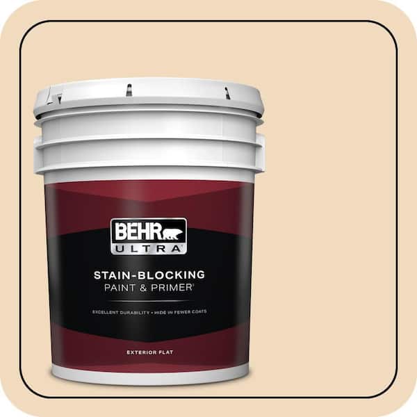 BEHR ULTRA 5 gal. #S270-1 Frosted Toffee Flat Exterior Paint & Primer