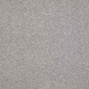 Tides Edge  - Sentinel - Gray 50 oz. Triexta Texture Installed Carpet