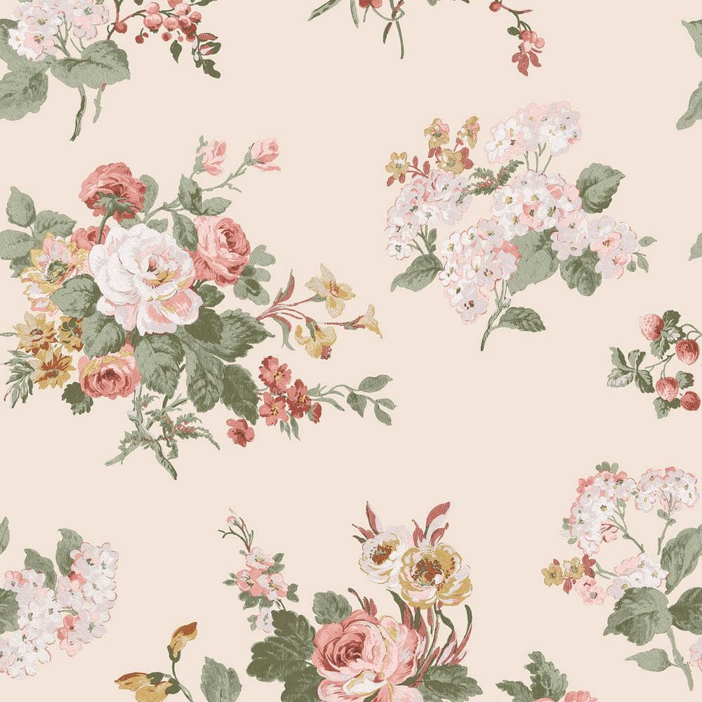 Rosemore Pale Sable Removable Wallpaper Sample price history on PriceWatchPro