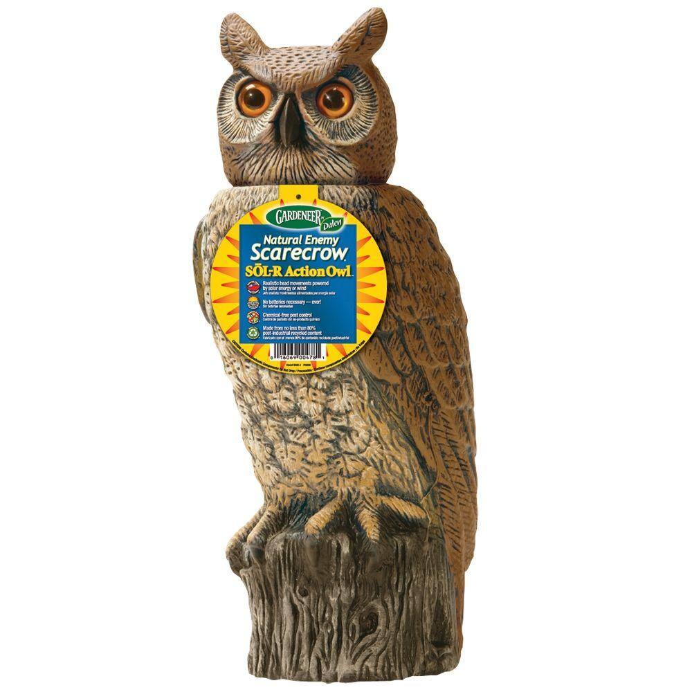 18 5 In H Dalen Products Sol R Action Owl Srho 4 The Home Depot