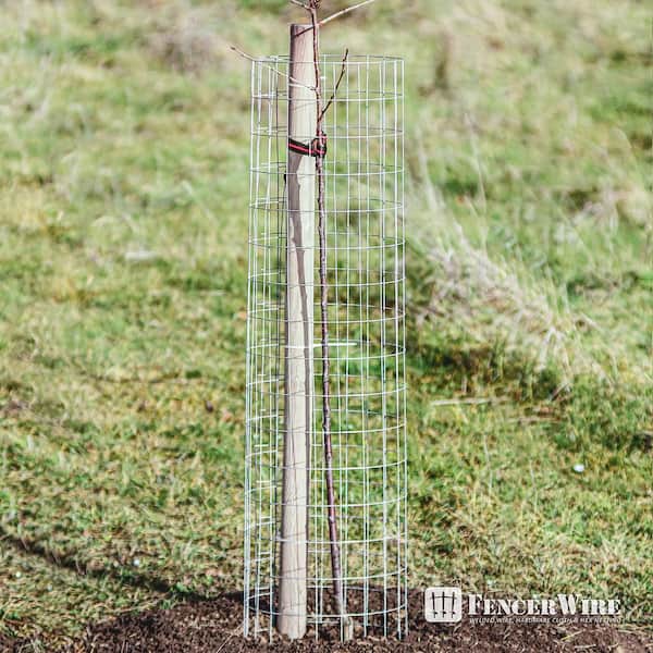 6 ft. x 50 ft. 14-Gauge Welded Wire Fence with Mesh 2 in. x 4 in.