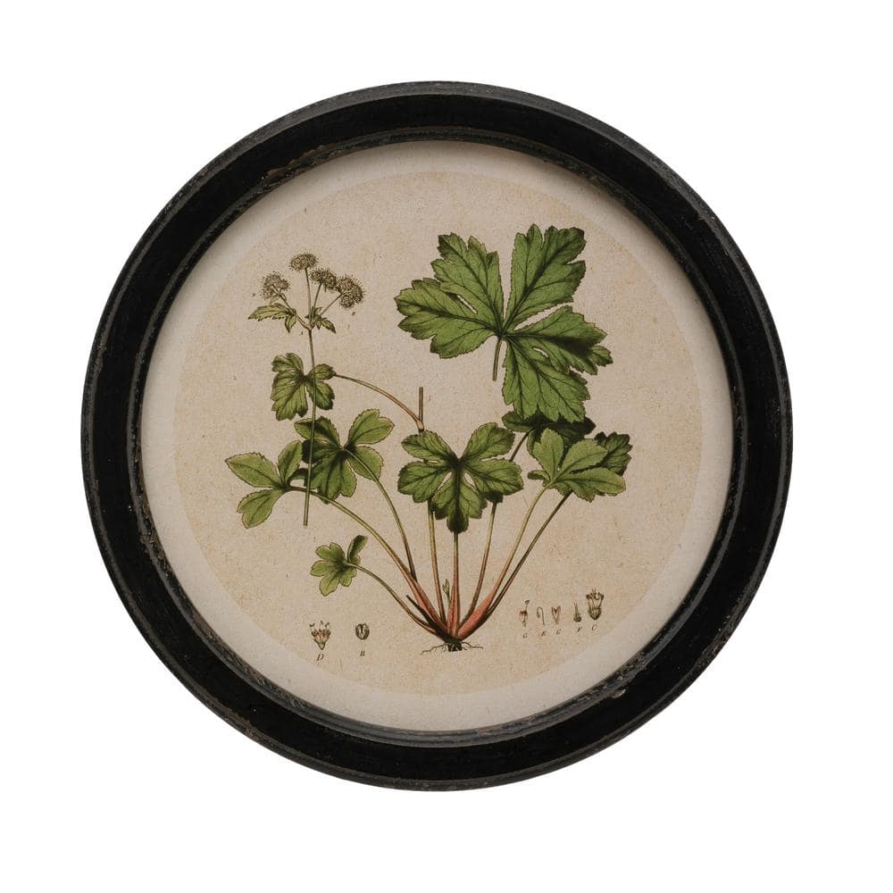 Set of 4 Vintage Botanical Print Wood Framed Wall Art