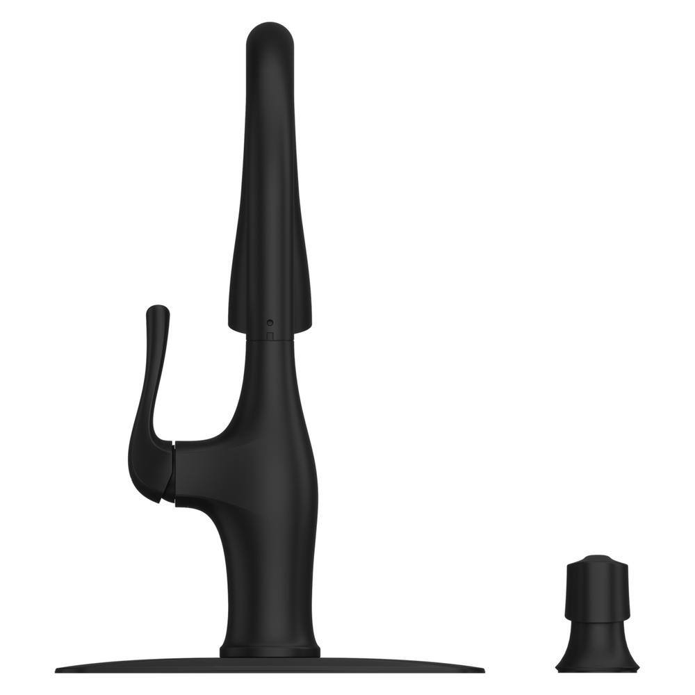 Matte Black Single Handle Pull-Down Kitchen Faucet with Soap Dispenser