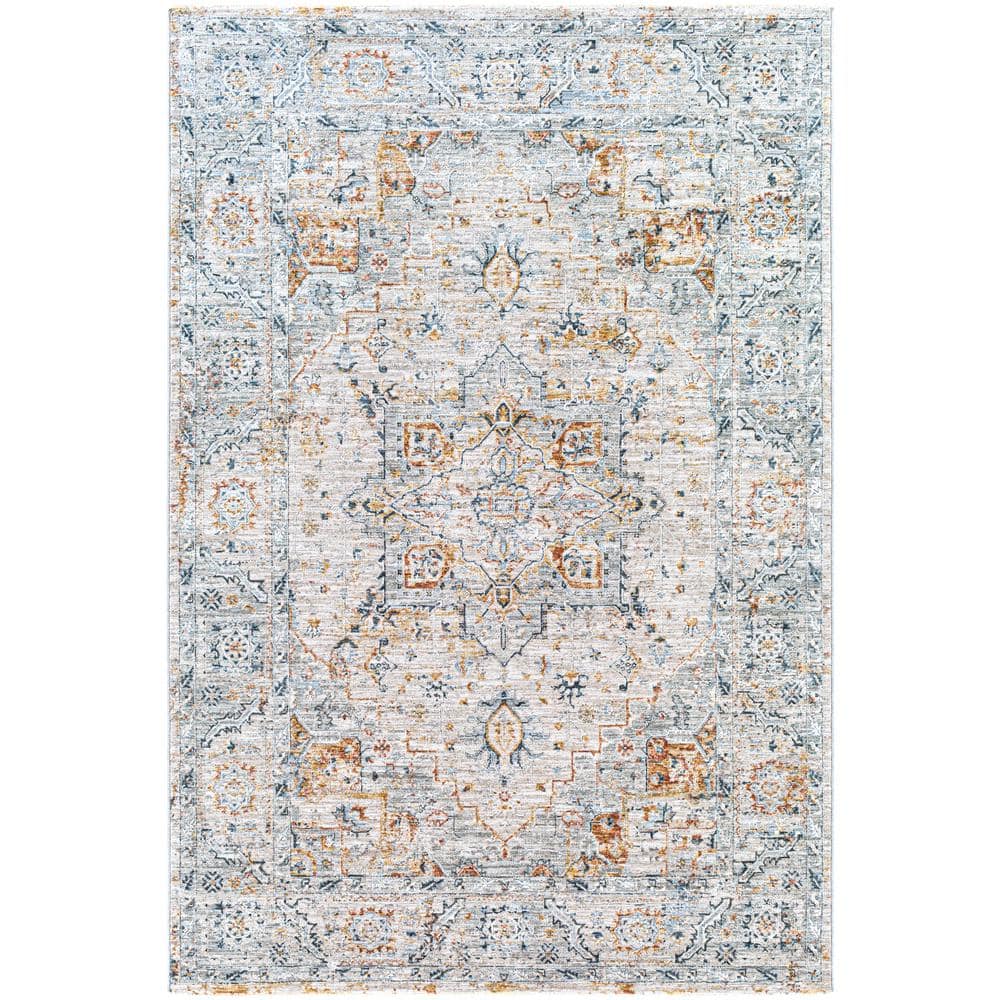 Ainhoa Light Gray Medallion 5 ft. x 7 ft. Indoor Area Rug price history on PriceWatchPro
