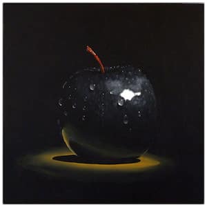 "Black Apple" by Roderick Stevens Unframed Canvas Art Print 14 in. x 19 in.
