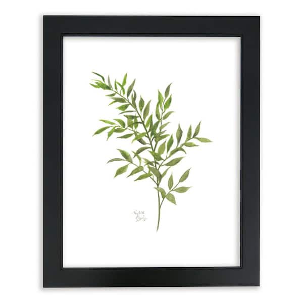 Unbranded Nature's Lace 1 "Italian Ruscus" by Alyssa Lewis Individual Black Framed Nature Art Print 24 in. x 18 in.