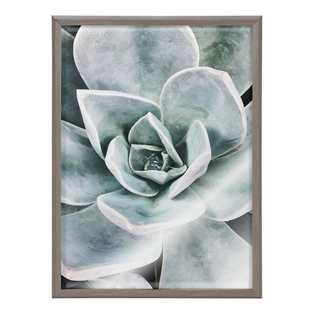 Gray Framed Botanical Succulent Plants Canvas Set