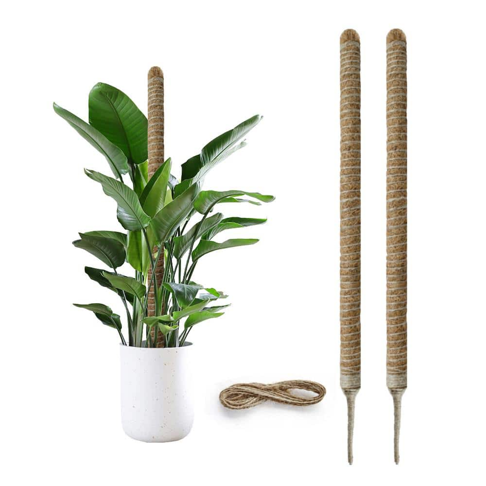 Wellco 27.6 in. Bendable Moss Pole Plant Stake for Plant Monstera ...