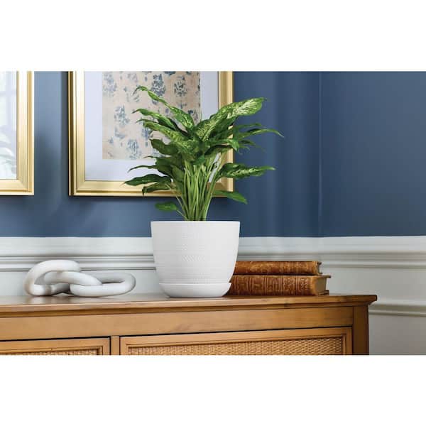 Brighton Medium White Plastic Round Planter with Drainage Holes and Attached Saucer (8 in. L x 8 in. W x 7 in. H)