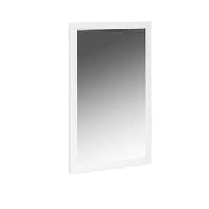Danielle 50 in. x 34 in. Classic Rectangle Framed White Vanity Mirror