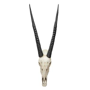 37 in. x 16.5 in. Gemsbok African Wall Trophy