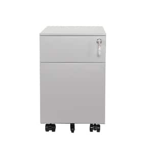 Cadeninc Gray Mobile Metal File Cabinet With 2 Drawer And Lock Fully Assembled Sin Lqw1 2405 The