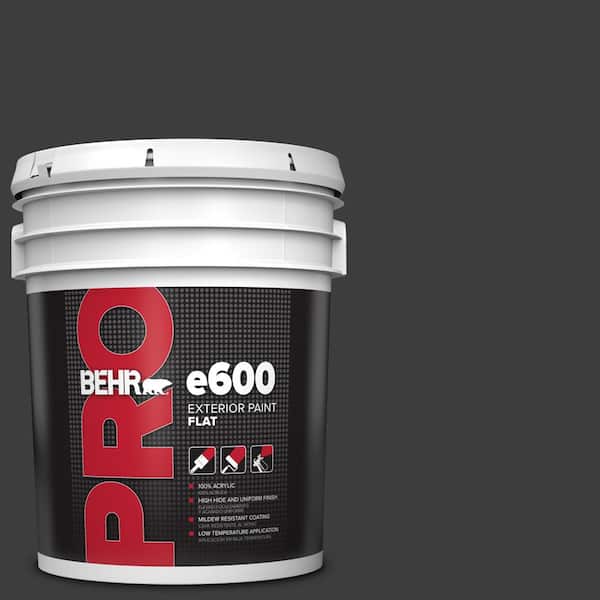 5 gal. #PPF-59 Raven Black Flat Exterior Paint