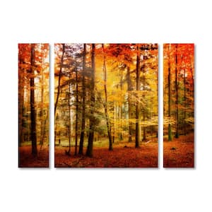 30 in. x 41 in. "Brilliant Fall Color" by Philippe Sainte-Laudy Printed Canvas Wall Art
