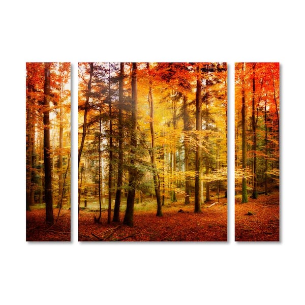 Trademark Fine Art 30 in. x 41 in. "Brilliant Fall Color" by Philippe Sainte-Laudy Printed Canvas Wall Art