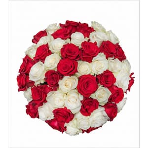 50-Stem Rainbow Roses-Red and White Mixed Rose Bouquet
