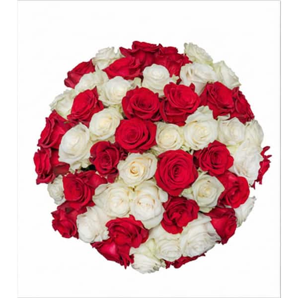 FLORAVAS 50-STEM RAINBOW ROSES-RED & WHITE MIXED ROSE BOUQUET