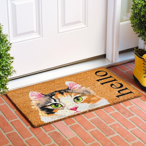 Leonard Color & Geometry Indoor Door Mat Entryway Rug Floor Mats