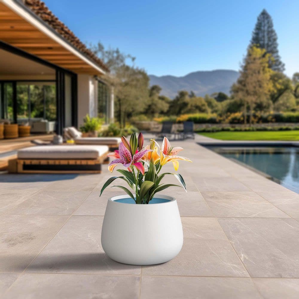 18.5 in. Large Crisp White (Enhanced Interior) Concrete Round Planter / Pot with Drainage Holes price history on PriceWatchPro