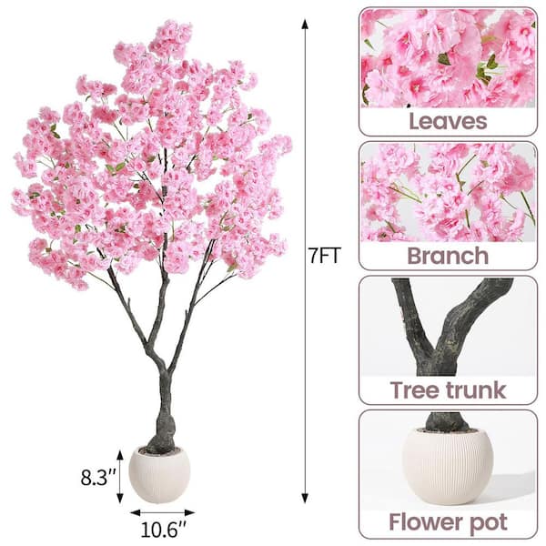 Gravee Low Maintenance Cherry Blossom Tree - 7 ft. Potted