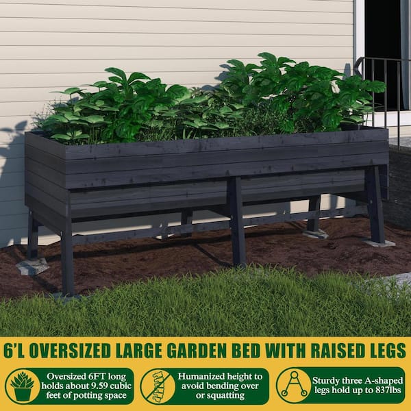 71 in. L x 31 in. W Large Cedar Wood Raised Garden Bed Outdoor with Legs and Liner, Dark Gray