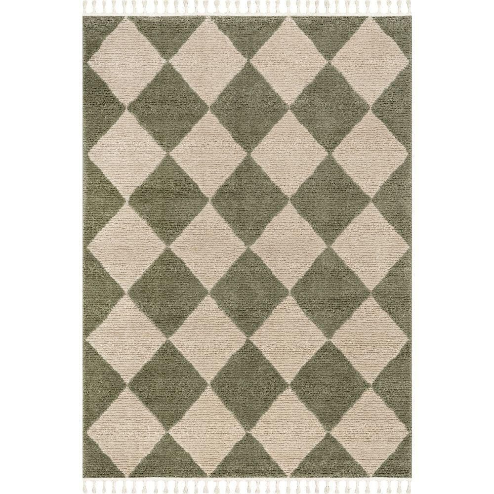 Aylin Diamond Tasseled Green 4 ft. x 6 ft. Indoor Area Rug price history on PriceWatchPro