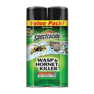 Aerosol Wasp and Hornet Killer Spray (2-Count)