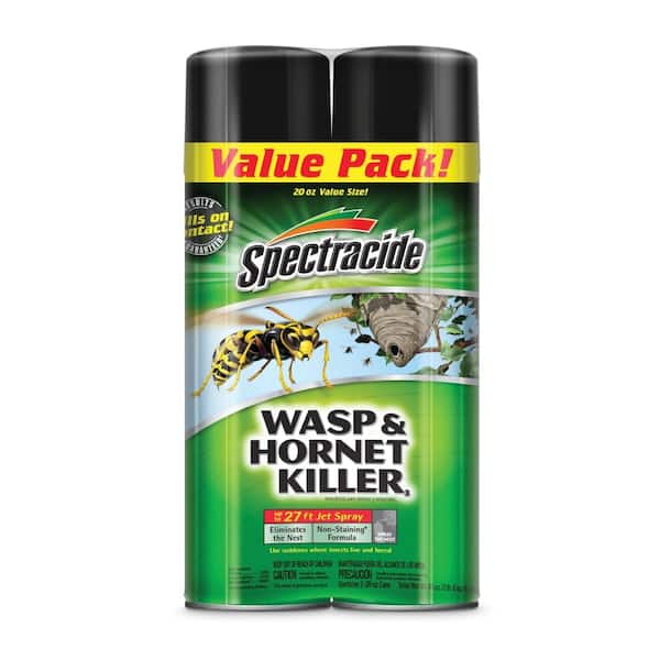 Spectracide Aerosol Wasp and Hornet Killer Spray (2-Count)